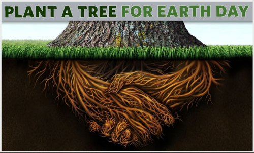 Plant a Tree for Earth Day