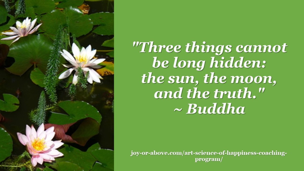 Friendship Day, The Biggest Lies of Our Time, and How to&nbsp;Cope!