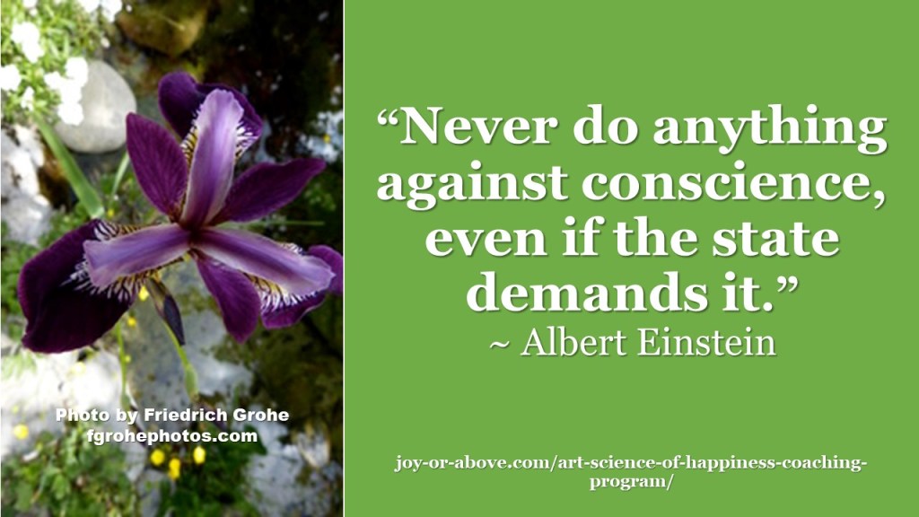 This image has an empty alt attribute; its file name is never-do-anything-einstein-1.jpg